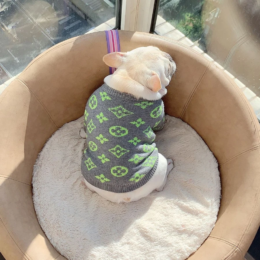 

Luxury pattern dog pullover sweater fashion two-legged pet sweater, Yellow