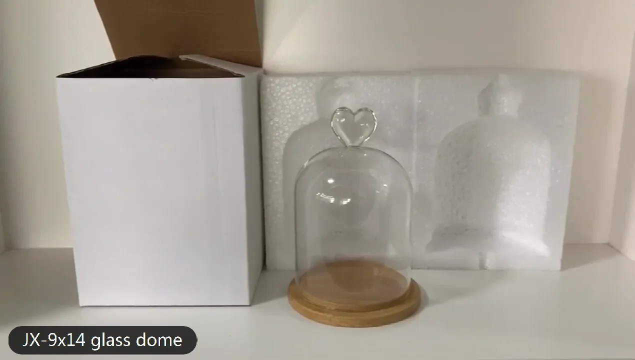 PATIKIL Cloche Di Vetro Con Base In Legno – Campana Trasparente Per Esposizione, 20x9 Cm, Per Piante E Candele - 3