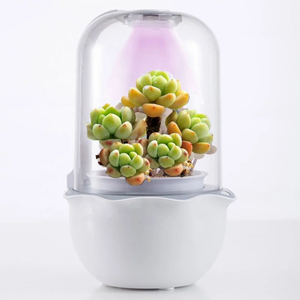 

air pot bonsai starter kit garden set smart toy succulent cactus levitating natural live plant smart planter small plant pots