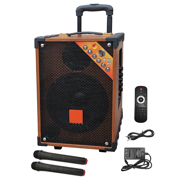 New sound active Portable Trolley Bluetooth wireless Speaker Amplifier Karaoke system - ANKUX.COM