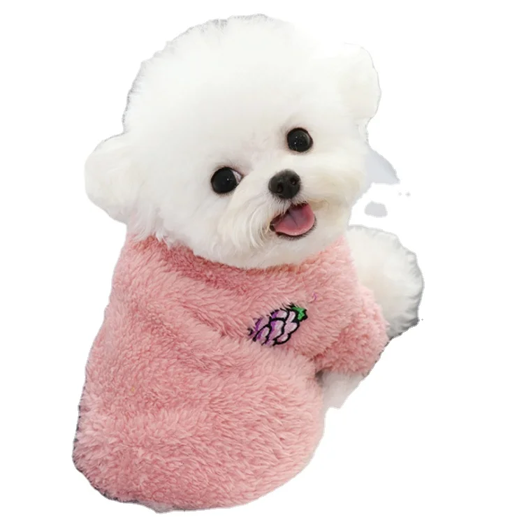 

Autumn and winter style small dog apparel pet fashion clothes