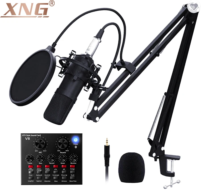 

Factory Price BM800&V8 Sound Card for Home Studio Recording