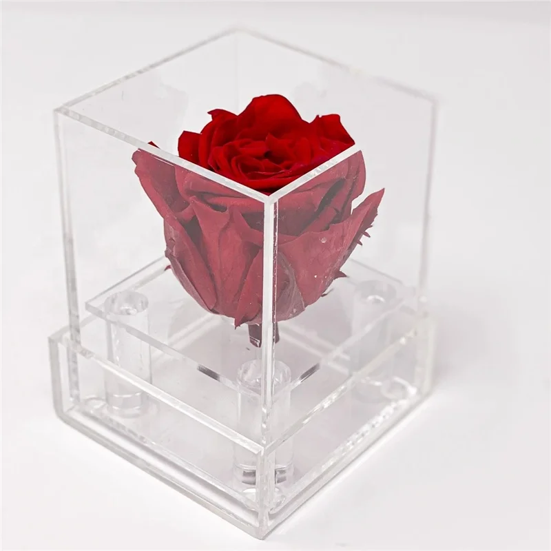 Custom Clear Acrylic Perspex Flower Rose Box For Single Rose - Buy ...