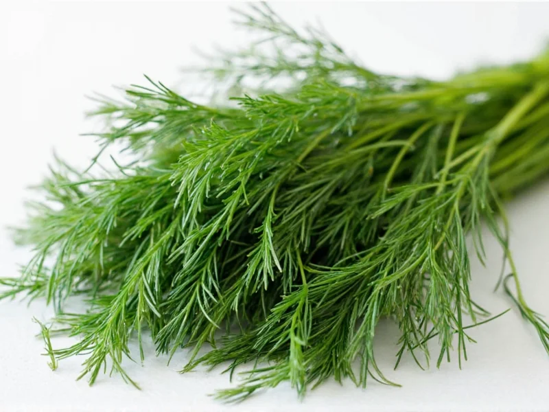 Best Dill Weed Substitutes for Fresh Dill: Complete Guide