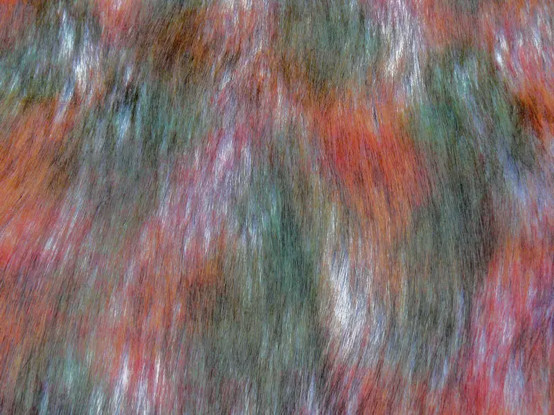 fall_1.jpg