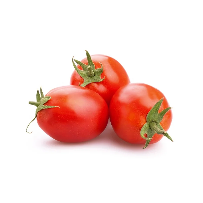 
Mexico Grown Fresh Red Tomato Roma Robinson Fresh MOQ 10 pieces Quick Delivery in US 