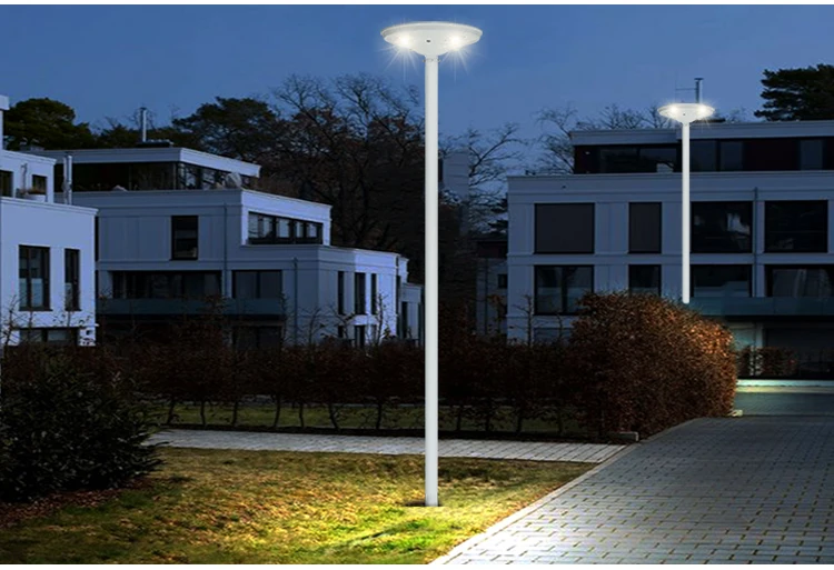 solar garden light (8)