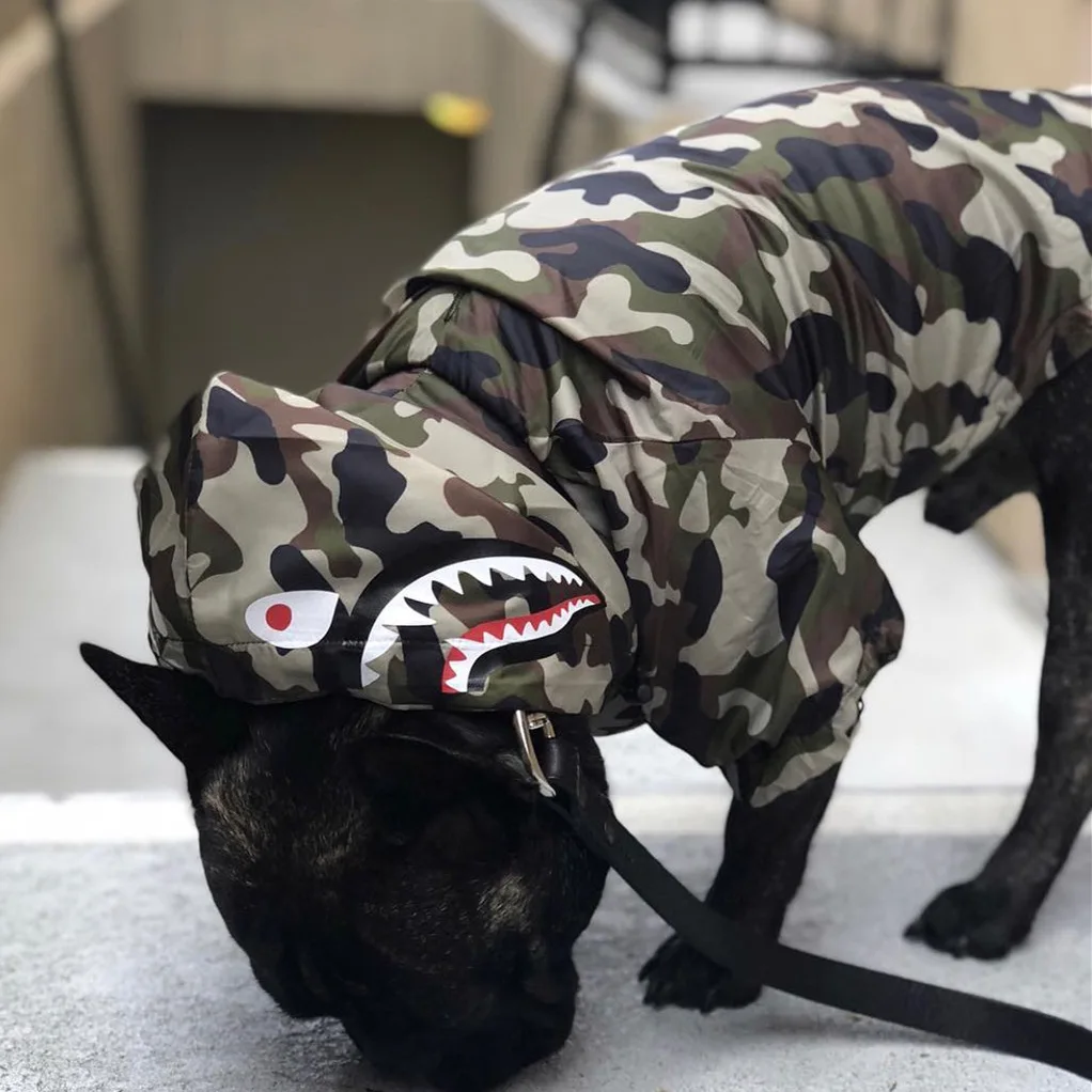 

Camouflage windproof rain proof dog large raincoat pet training jacket, Pic shows