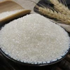 /product-detail/chinese-cheap-sugar-price-caster-sugar-62408491213.html