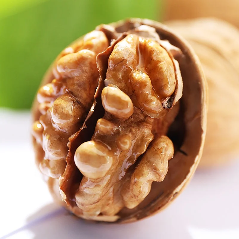 
Wholesale 100% Nutritious healthy Chinese thin shell walnut 