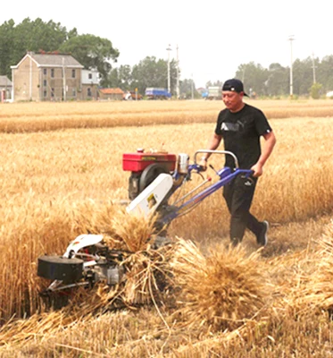农用机械  收割机  4g 120 d 割谷机油菜收割机迷你收割者粘合剂 4g