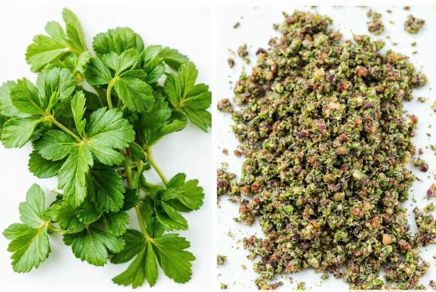 mexican oregano vs mediterranean oregano what s the real difference