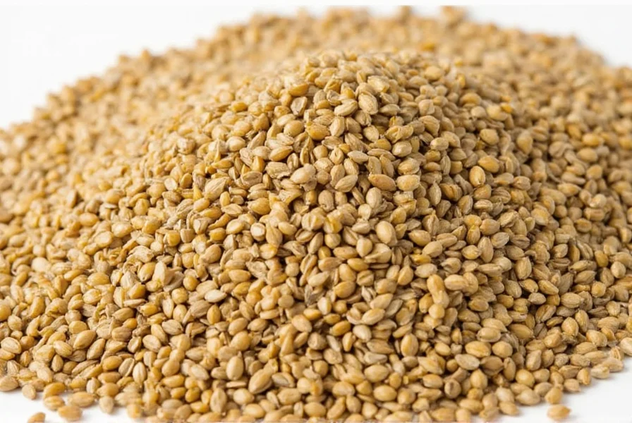 Close-up view of whole coriander seeds next to ground coriander powder