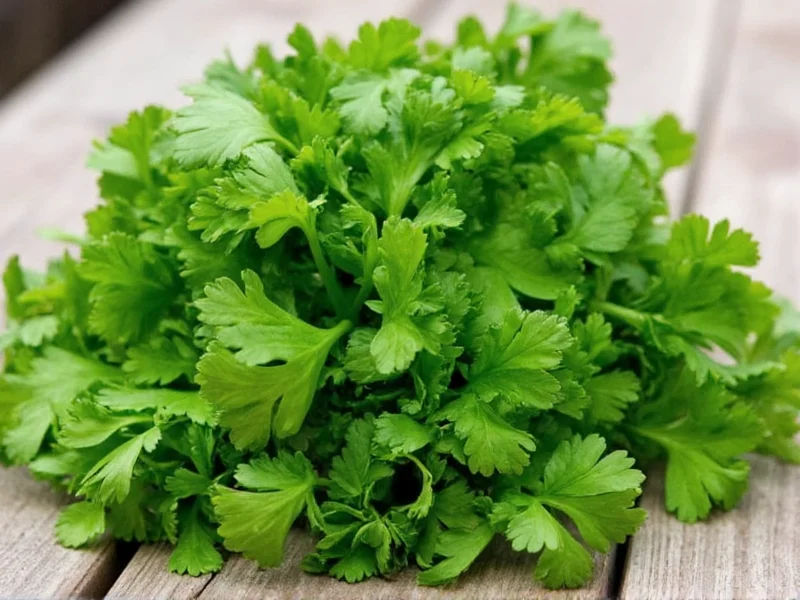 Parsley vs Cilantro: Clear Taste Difference Explained