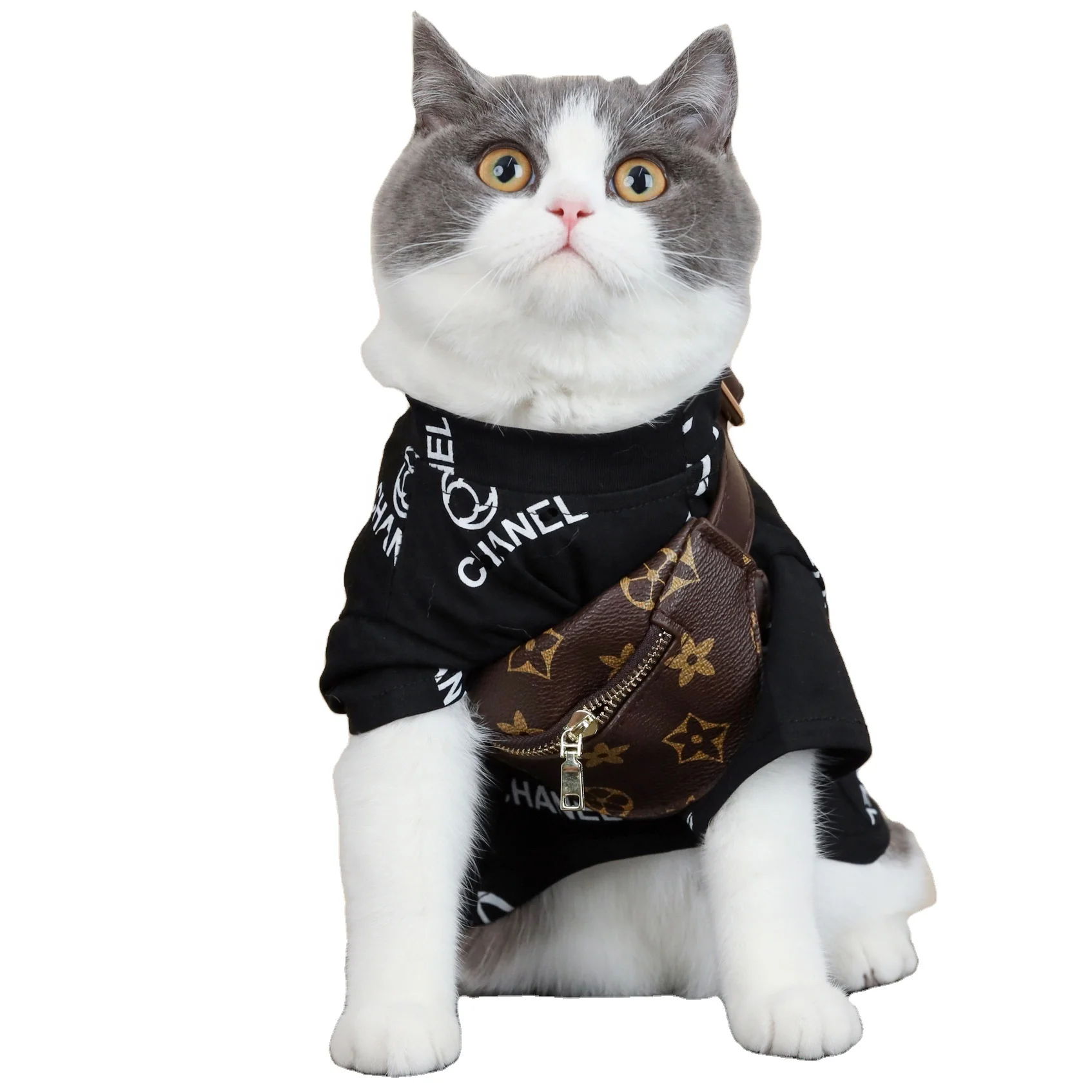 

Hot Selling Summer Popular Brand Printed Pet Clothes For Dog And Cat