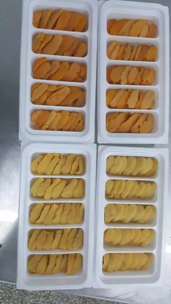 
hot sale cheap price box frozen sea urchin export 