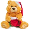 Plush Teddy Bear with Christmas Hat and Stocking White Christmas Stuffed Bear Toy