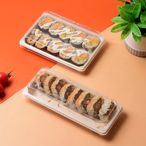 

sugarcane Pulp Moulded Disposable Biodegradable Sushi Tray Takeaway Eco Friendly Fiber Sugarcane Bagasse Tray