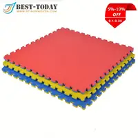 

WKF Approved Karate Training Tatami Mat,Taekwondo Mats Manufacturer