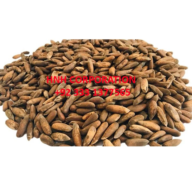 
Afghani Pine Nuts in Shell /Cedar Nuts 