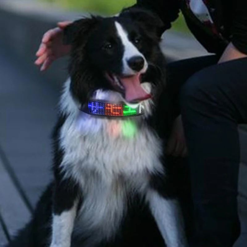 

Outdoor Night Up Flashing App Programming Led Dog Collar