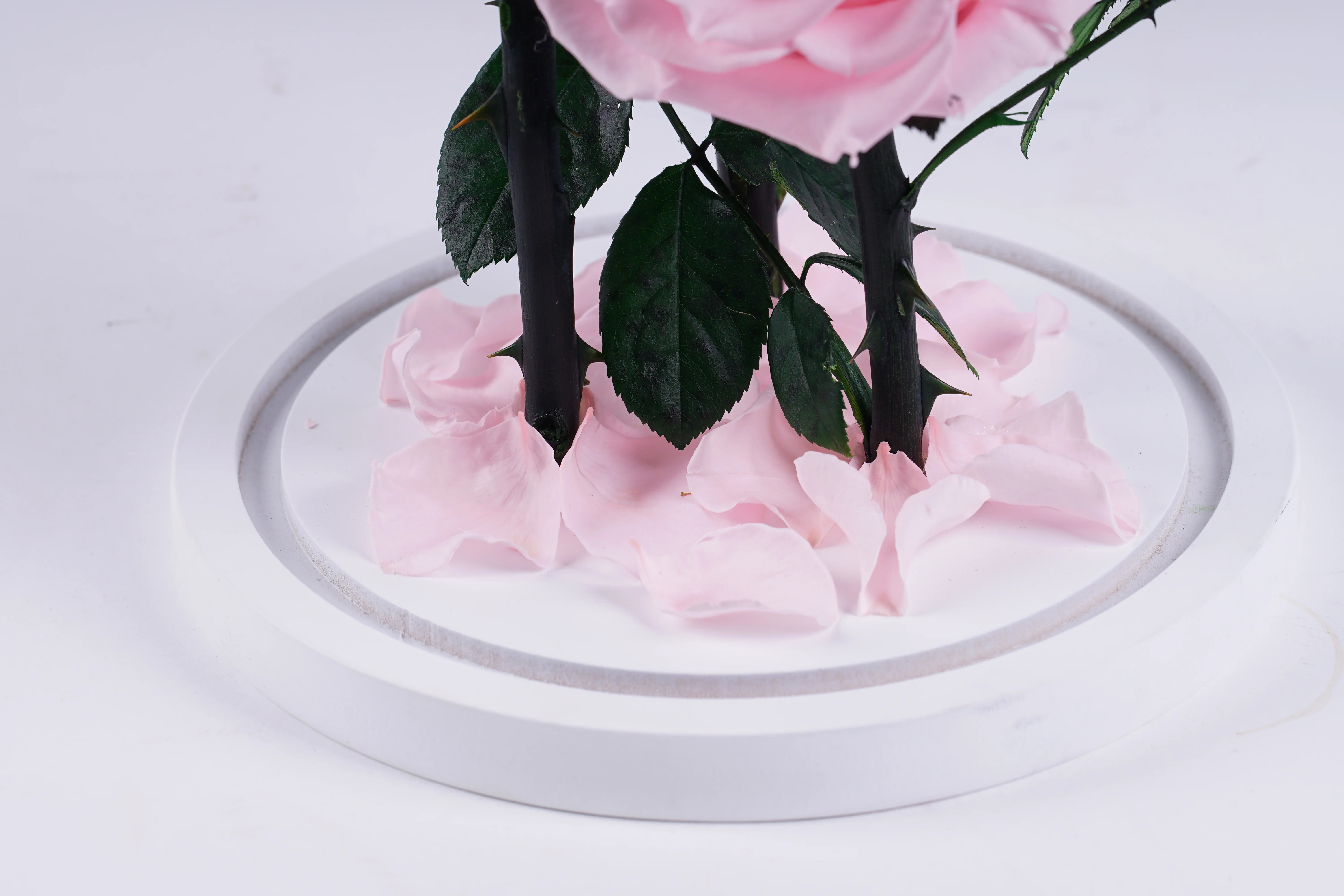 hight quality triple preserved fresh flower roses in glass dome