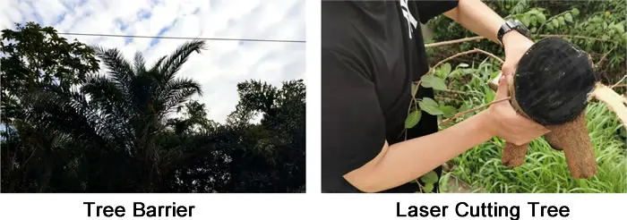 laser-remover (16).jpg