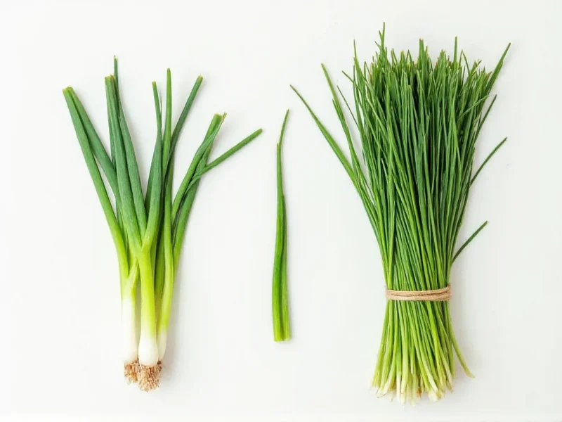 Green Onions vs Chives: Clear Differences Explained