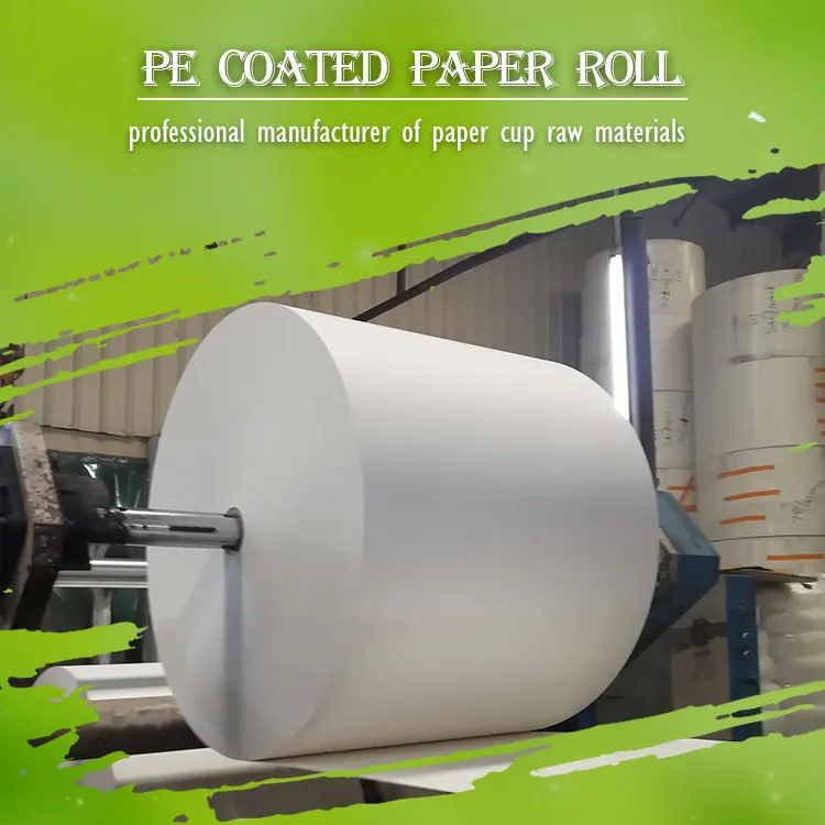 Factory Pe/ple Coated Paper Roll High Quality Single Double Wall Paper Cup Bowls paper Raw Material