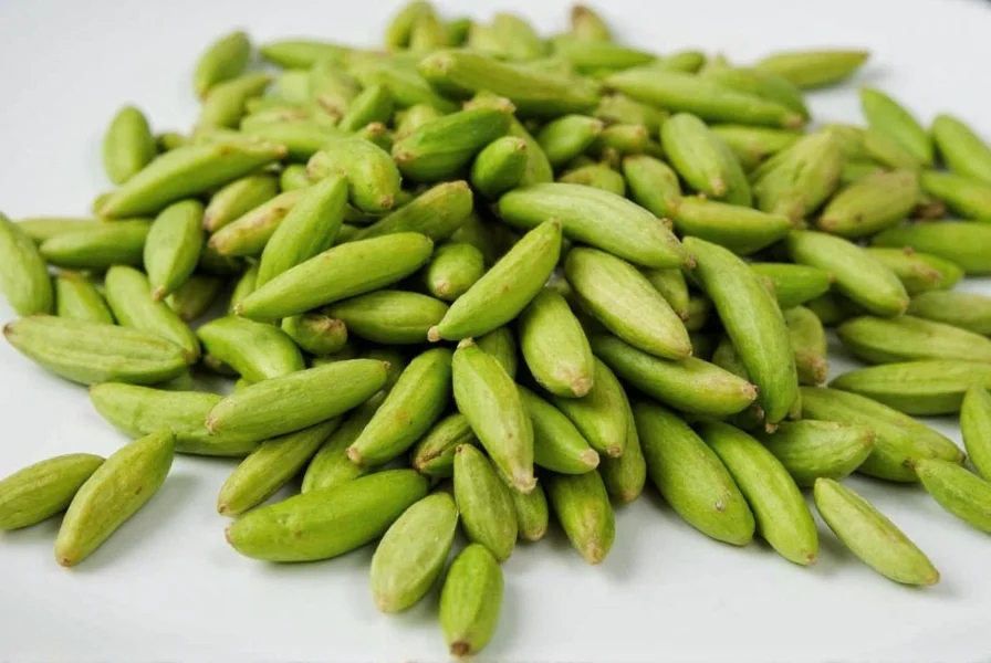 define cardamom