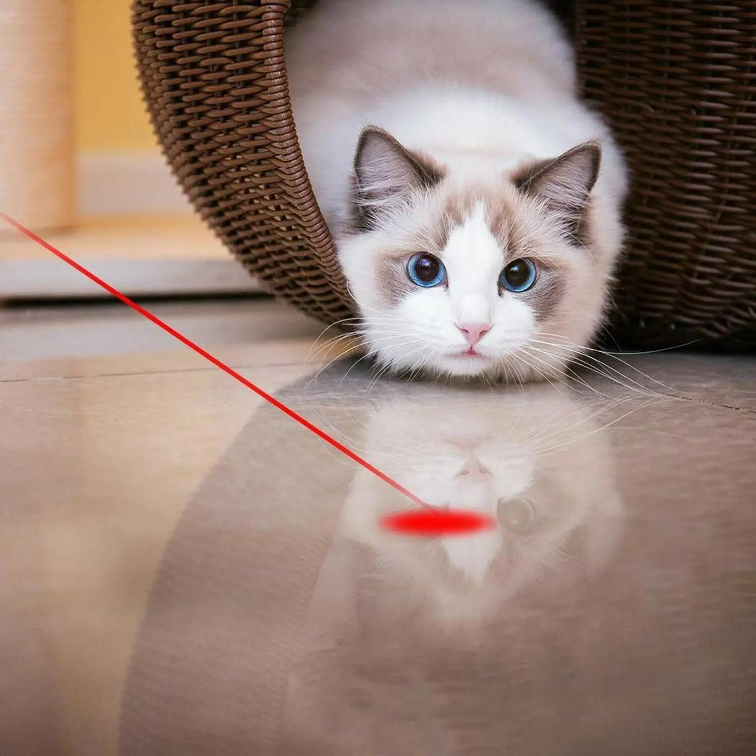 4 Pattern for Cat Dog Kitten Cat Toys Chase Pointer Light Toy Interactive USB Rechargeable Pet Training Exercise Tool 2 Pack 3 Mode with a Furry Mice