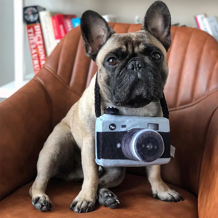 

New Pet Products 2020 Pet Plush Toy Dog Camera Photo Props For Pet, Gary