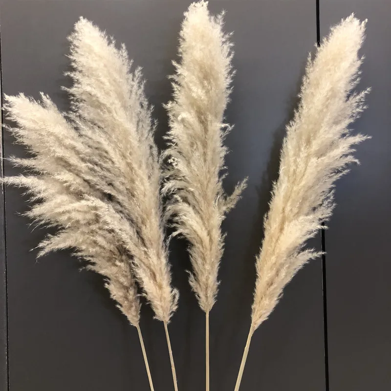 V01-28 Home Wedding Decorative Dry Reed Flower Long Feather Head Large