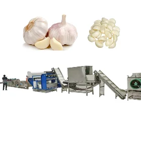 Garlic Processing Solution 
