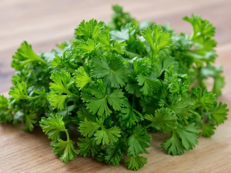 Dried to Fresh Parsley Ratio: The Complete Conversion Guide