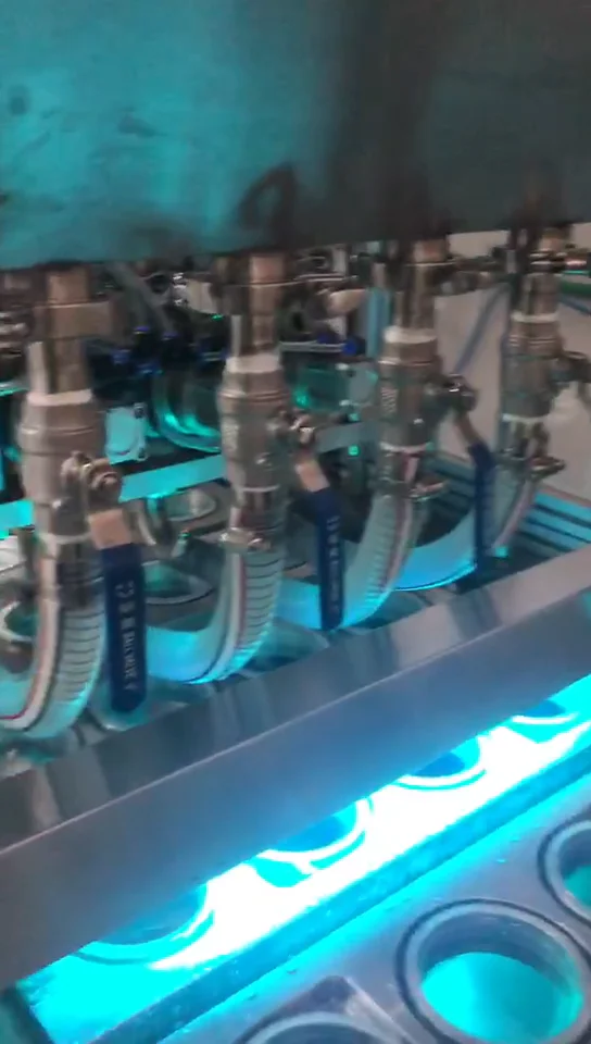 Bg604 Automatic Plastic Box Jelly Cup Filling And Sealing Machine