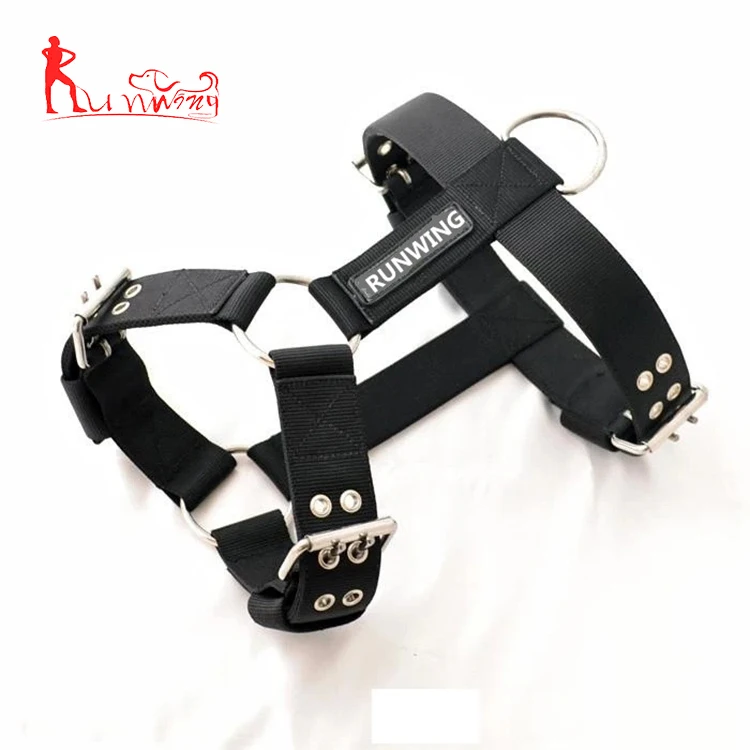 rogue dog harness