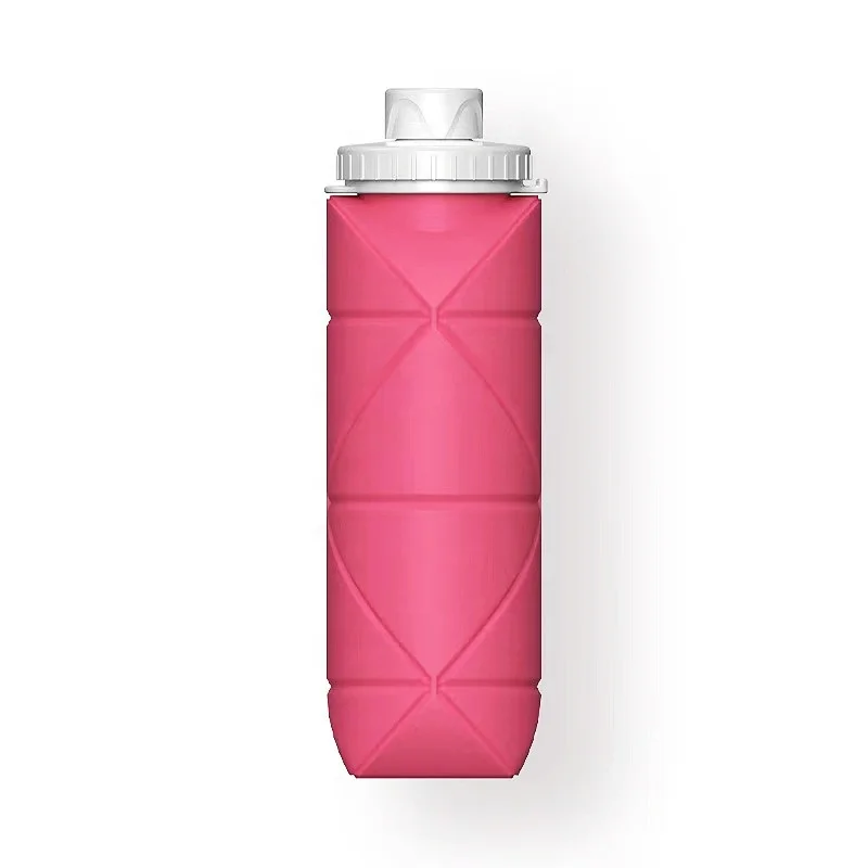 

Summer camping outdoor camping Bpa free fruit infuser water bottle plastic fruit infuser with lid water bottle with infuser, Customized color