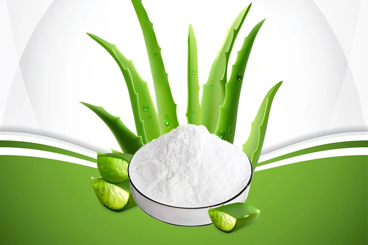 アロエベラ全葉アロエバルバデンシスリーフジュースパウダー Buy アロエ葉ジュースパウダー アロエの葉パウダー アロエベラの葉パウダー Product On Alibaba Com