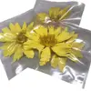 new hot sell Most popular items yellow water lily flowers lotus raw material
