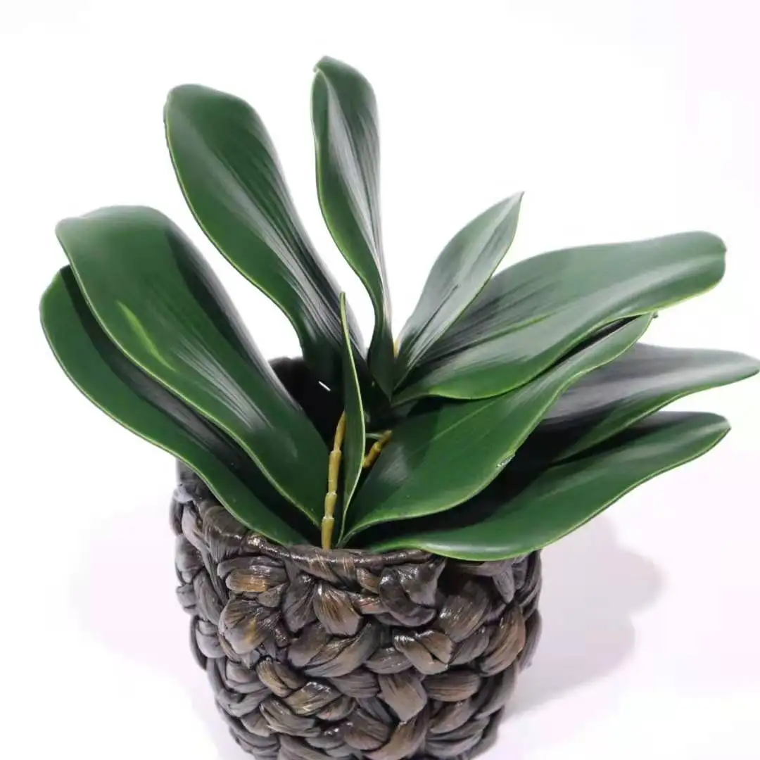 

Faux PU Latex Orchid Leaves Artificial Cymbidium Orchid Leaf Real Touch Phalaenopsis Leaves, Green