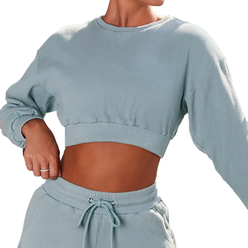 

High Quality Fashion Ladies Yoga Crop Tops Women Long Sleeve Fitness Yoga Top Loose Yoga Crop Top