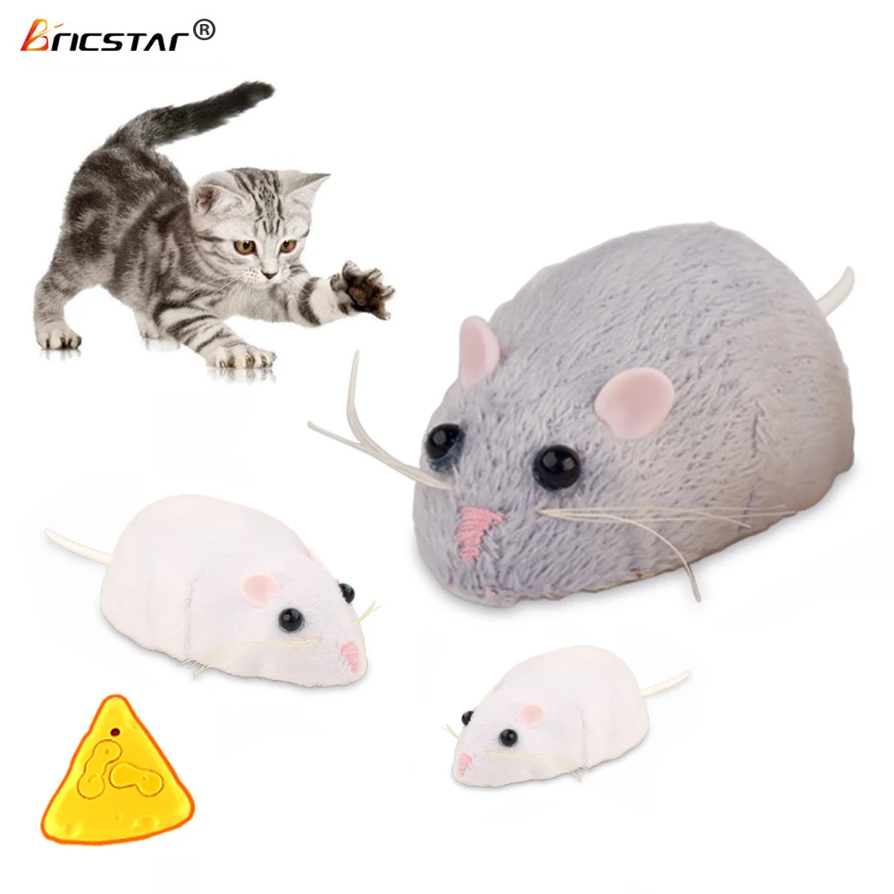 mouse remote control cat toy