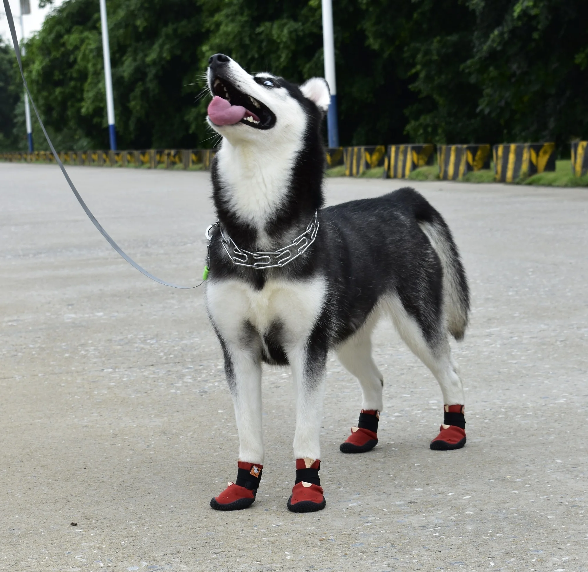 

Large Dog Shoes For Hot Pavement Soft Pet Shoes WearResistant Outdoor Sweat And Breathable Big Pet Dog Shoes, Red,black,grey,green