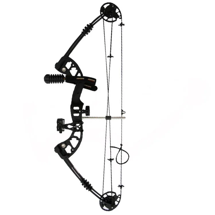 

30-60 LBs fishing hunting and shooting metal riser Compound bow, Black