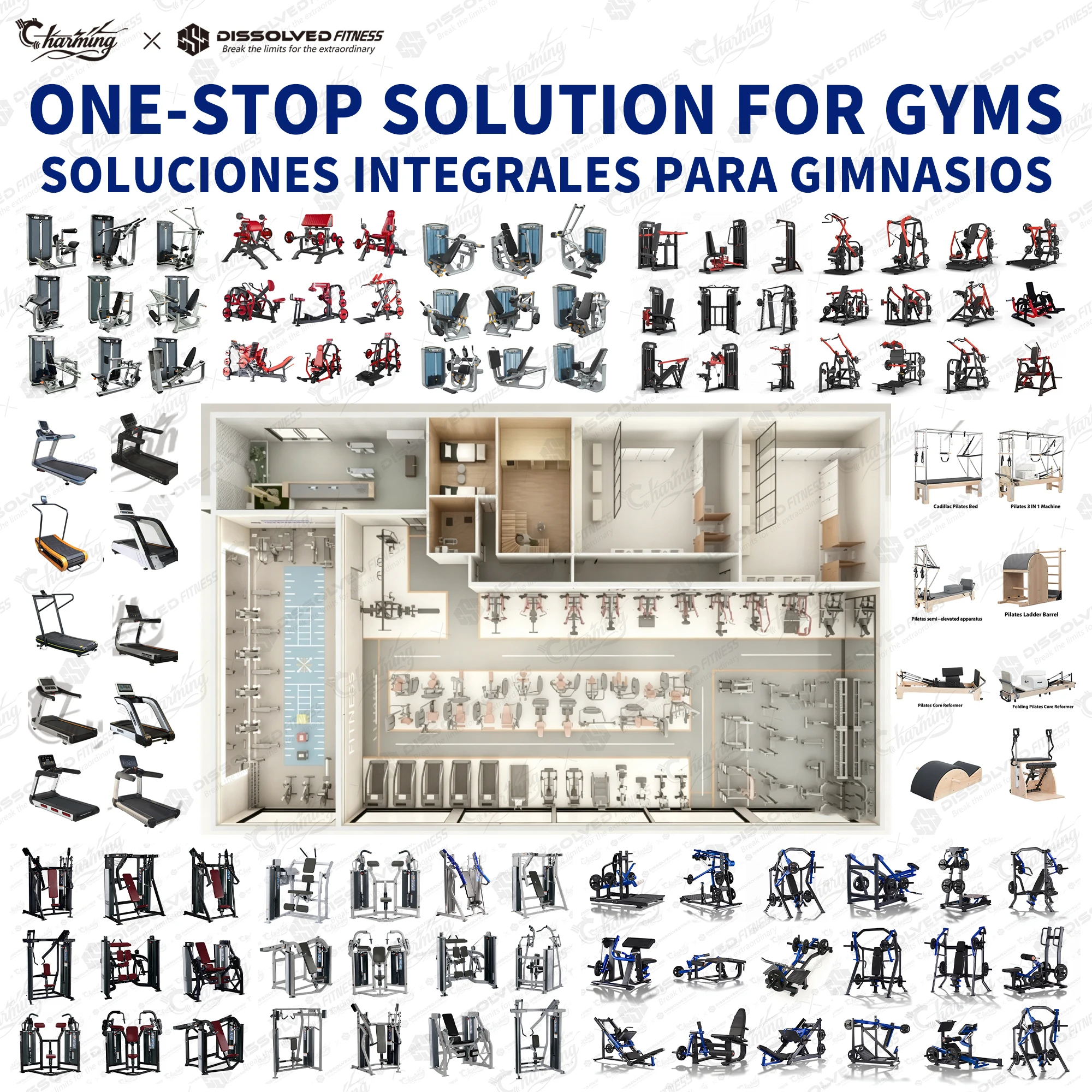 European Luxury Gym Equipment Full Set Heavy Duty Gym Machines Reformer Pilates Line Commercial Gym Setup for Fitness Center