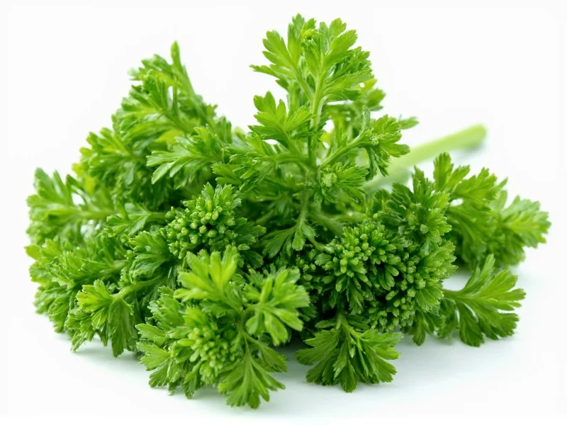 Parsley Substitutes: Herbs Similar to Parsley