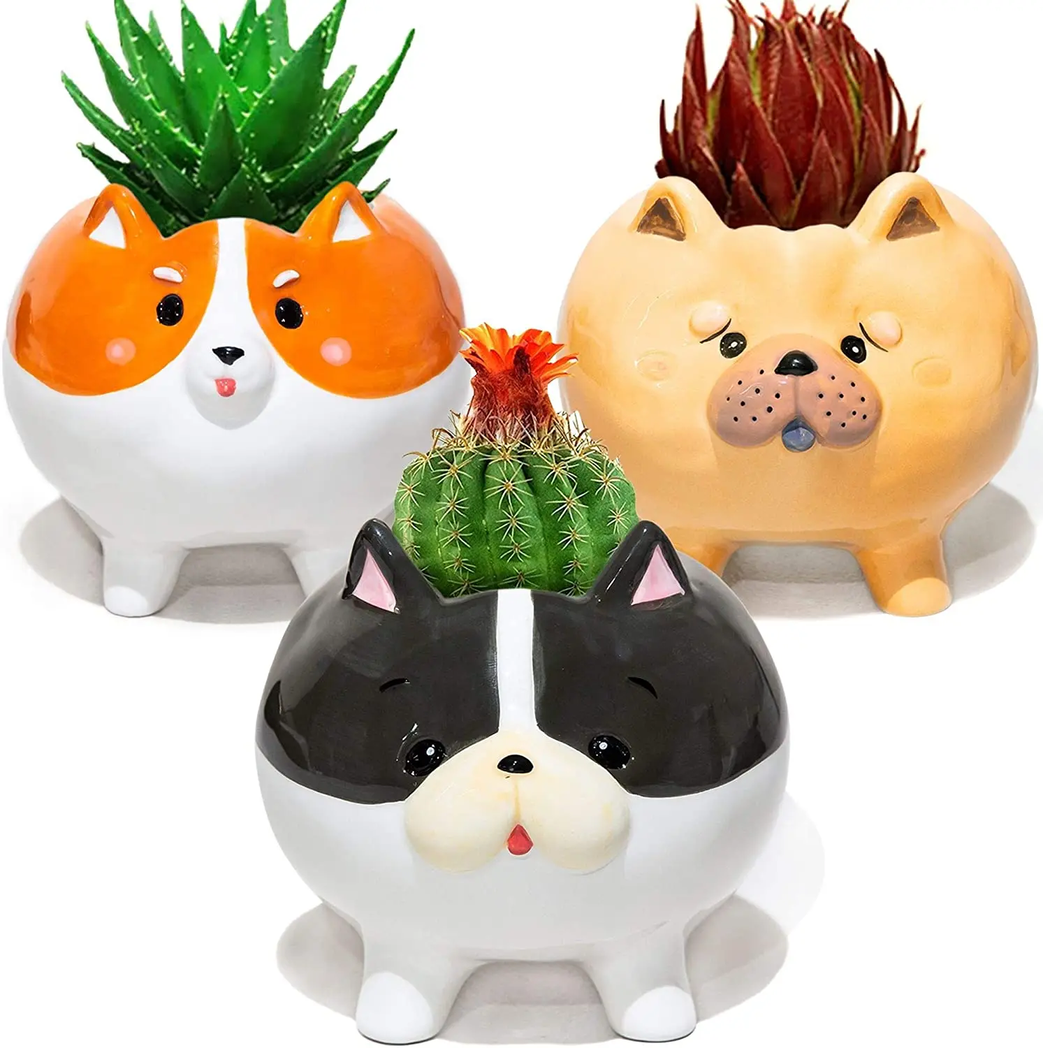 

carton design small indoor cactus planter ceramic pots for succulent plants, White