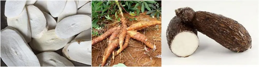 mash belt drying machine
