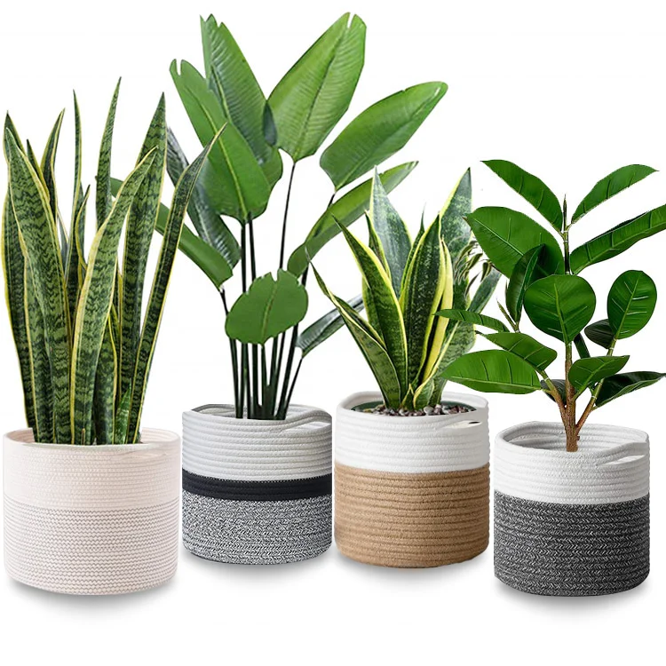 

Eco-friendly collapsible Cotton rope Potted plants basket woven home decor planter basket Custom Storage basket For Tree